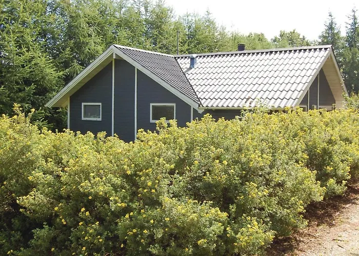 Ronnebaervangen Iv *